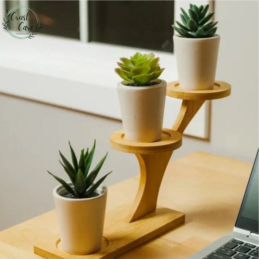 Bamboo Succulent Plant Stand