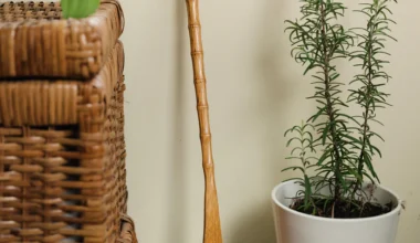 Bamboo Backscratcher