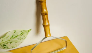 Bamboo Lint Remover