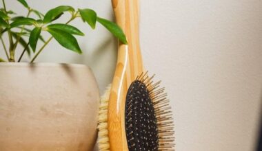 Bamboo Dog Brush for All Coats